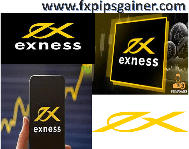 Comprehensive Exness User Review A Trader's Perspective